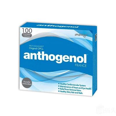 澳洲Athogenol 月光宝盒高含量花青素胶囊 100粒